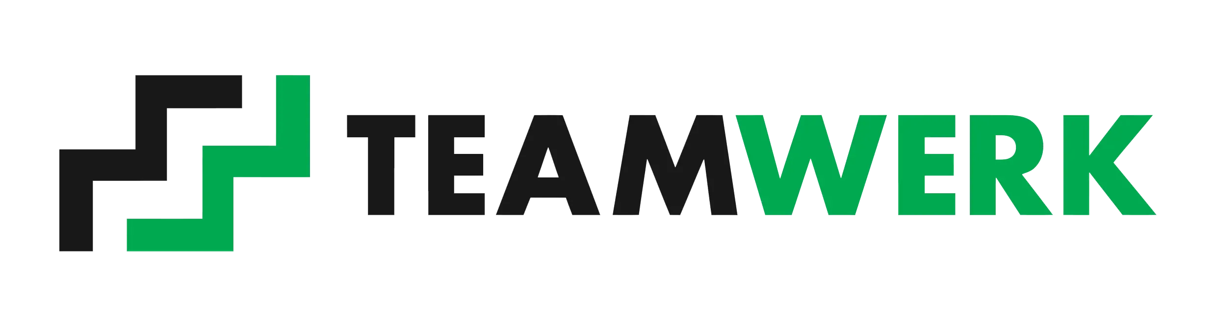 Teamwerk-Logo-EPSkopiekopiekopie1